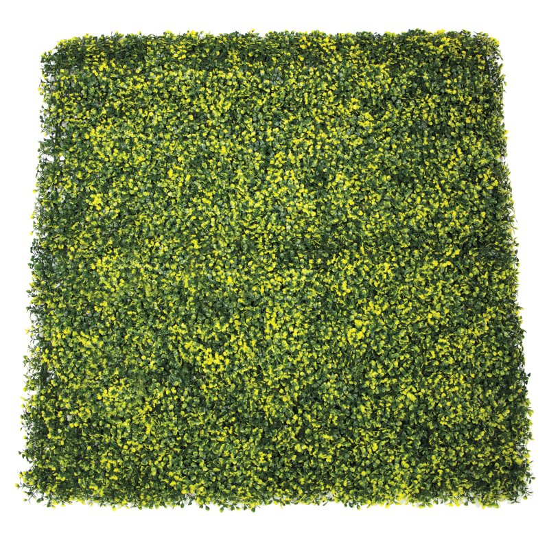 MUR VÉGÉTAL BUXUS