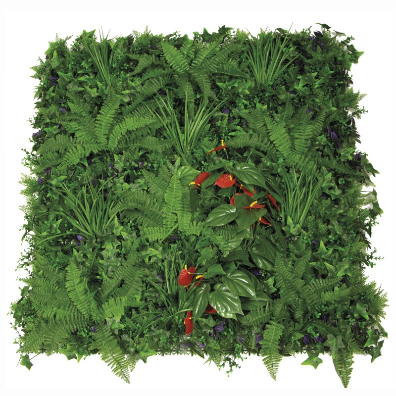 MUR VÉGÉTAL HAWAII