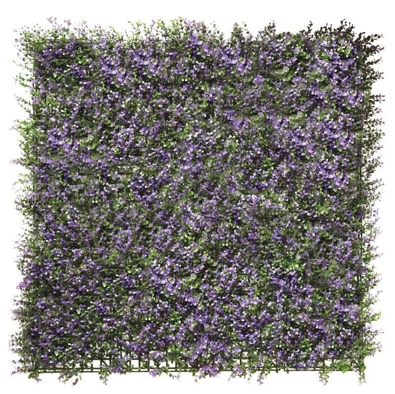 MUR VÉGÉTAL LILAS